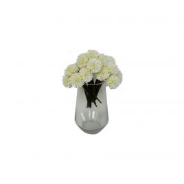 White Chrysanthemum