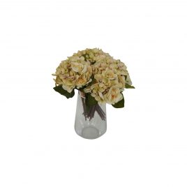 Beige Hydrangea