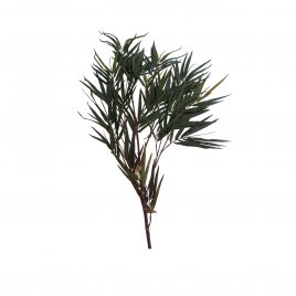 Liu Tree Branch