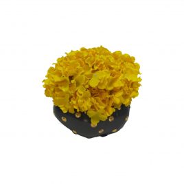 Yellow HydrangeaWith Ceramic Vase