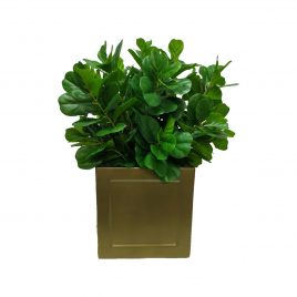 Philodendron Artificial Plant in Gold Planter
