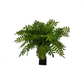 Chinese Evergreen in Gold Pedestal Bowl