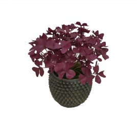 Red Butterfly Wing Leaf in Textured Bowl