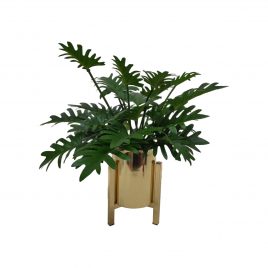 Philodendron Artificial Plant in Gold Planter