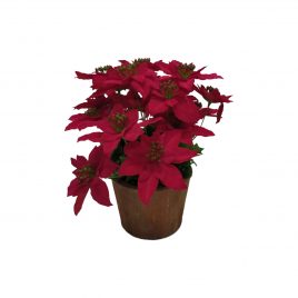 Red Christmas Flower Arrangement in French Country Pot
