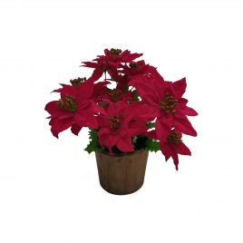 Red Christmas Flower Arrangement in French Country Pot