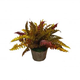 Fal Orange Fern Arrangement in French Country Pot