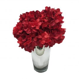 Red hydrangea arrangement in silver glass vase (L)