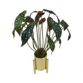 Philodendron Artificial Plant in Gold Planter (M)