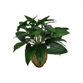 Philodendron Artificial Plant in Gold Distressed Planter (S)