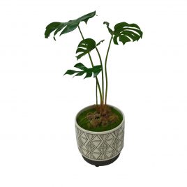 Philodendron Artificial Plant in Black & White Ceramic Vase