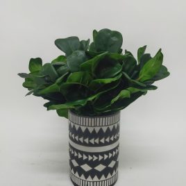 Philodendron Artificial Plant in Black & White Ceramic Vase