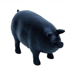 Black Resin Pig