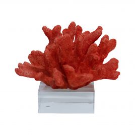 Faux Coral on Clear Base
