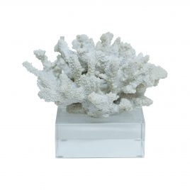 Faux Coral on Clear Base