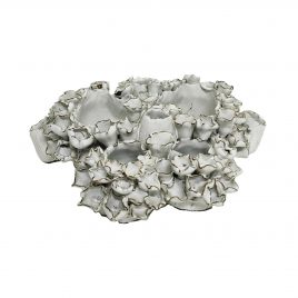 White Barnacle Ceramic – เพรียงเซรามิกตั้งโชว์