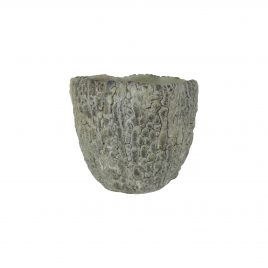 Forest Green Planter (S) – กระถางสไตล์ธรรมชาติ