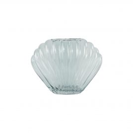 Oceana Shell Glass Vase – แจกันแต่งบ้าน