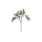 C&C Home Wild Leaf