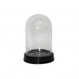 Glass Dome w/ Black Ceramic Base โดมแก้วพร้อมฐานเซรามิกสีดำ