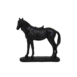 Corsica Black Horse-ม้าดำคอร์ซิกา