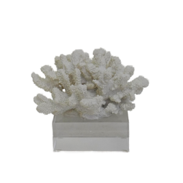 Faux Coral With Crystal Base-ปะการังเทียมพร้อมฐานคริสตัล