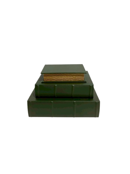 CCW-009778 (2)