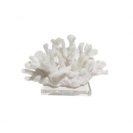 Faux Coral With Crystal Base ปะการังเทียมพร้อมฐานคริสตัล