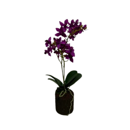 Artificial Purple Orchid กล้วยไม้สีม่วงประดิษฐ์