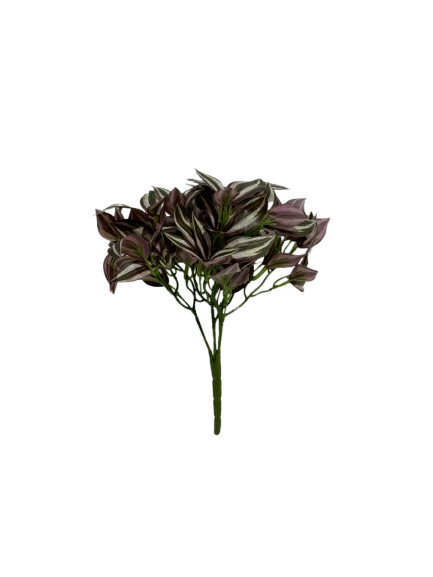 CCW-009872